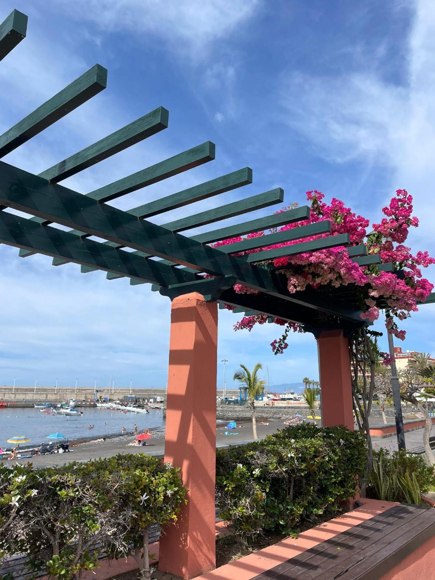 Seaside Paradise - 2 Bedroom Apartment With Ocean Views & Air Conditioning In Playa San Juan Kültér fotó